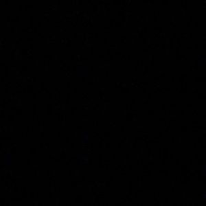 Meet your Posher, Shy